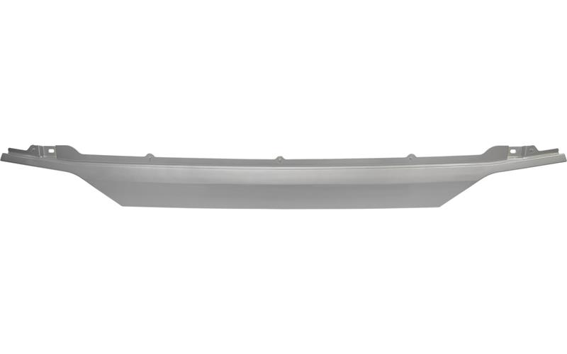 PROTECTOR DAF XG PLUS, XG
