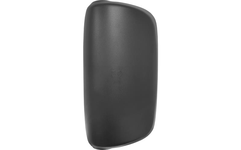 Daf main mirror cover e-mark