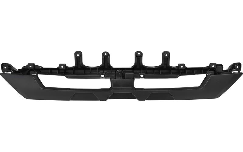 Grille lower chrome TGS
