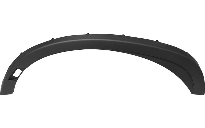 FOOT STEP FRAME STRIP RH